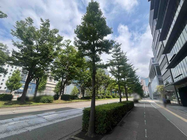 銀シャリ