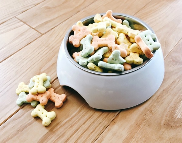 ワンまるプチ vol.11