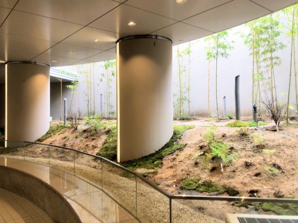 line_716590823091942~2