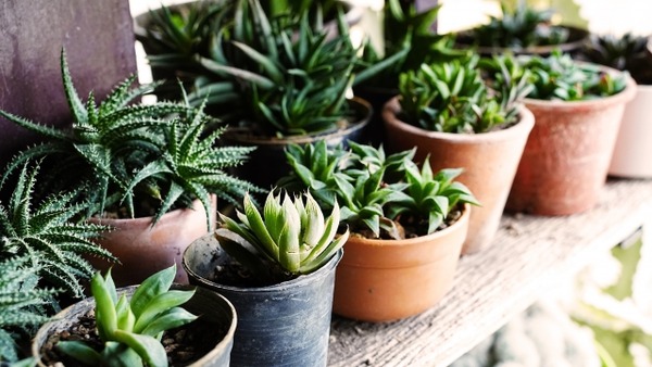 石引ビルヂング夜市 vol.3