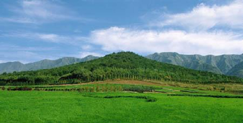 西安の平原　始皇帝陵03