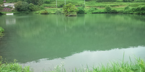 DCF00004