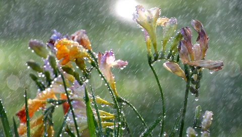 秋雨　02