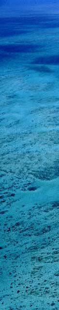 海水001
