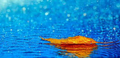 秋雨　01