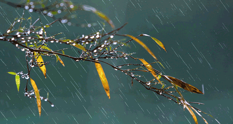 秋雨　04
