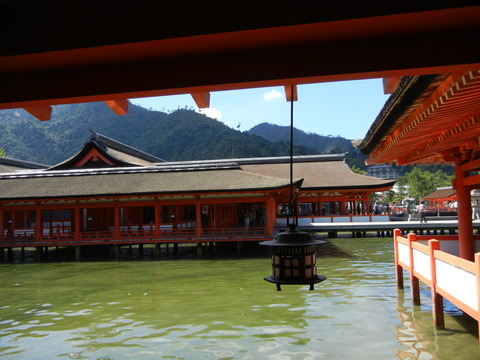 miyajima 683