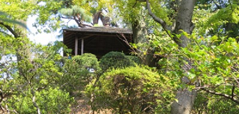四阿004