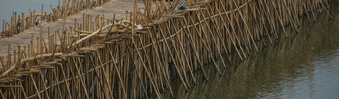 竹の橋02