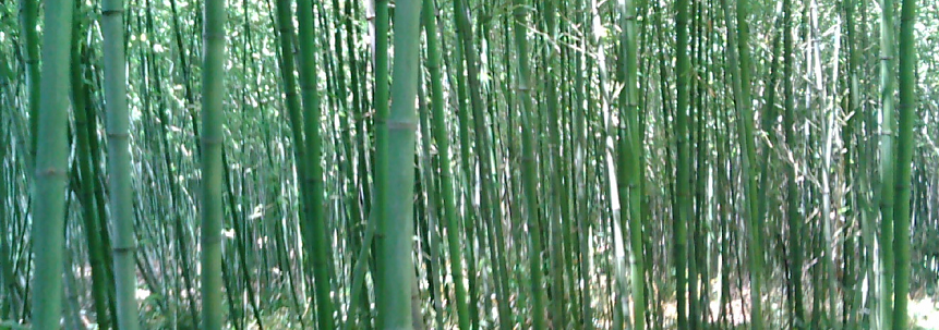 【公式】 無名氏挽歌 薤露歌》 漢魏詩<90>古詩源 漢文委員会 809 巻五 和書