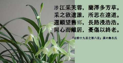 秋蘭003『古詩十九首之第六首』漢の無名氏