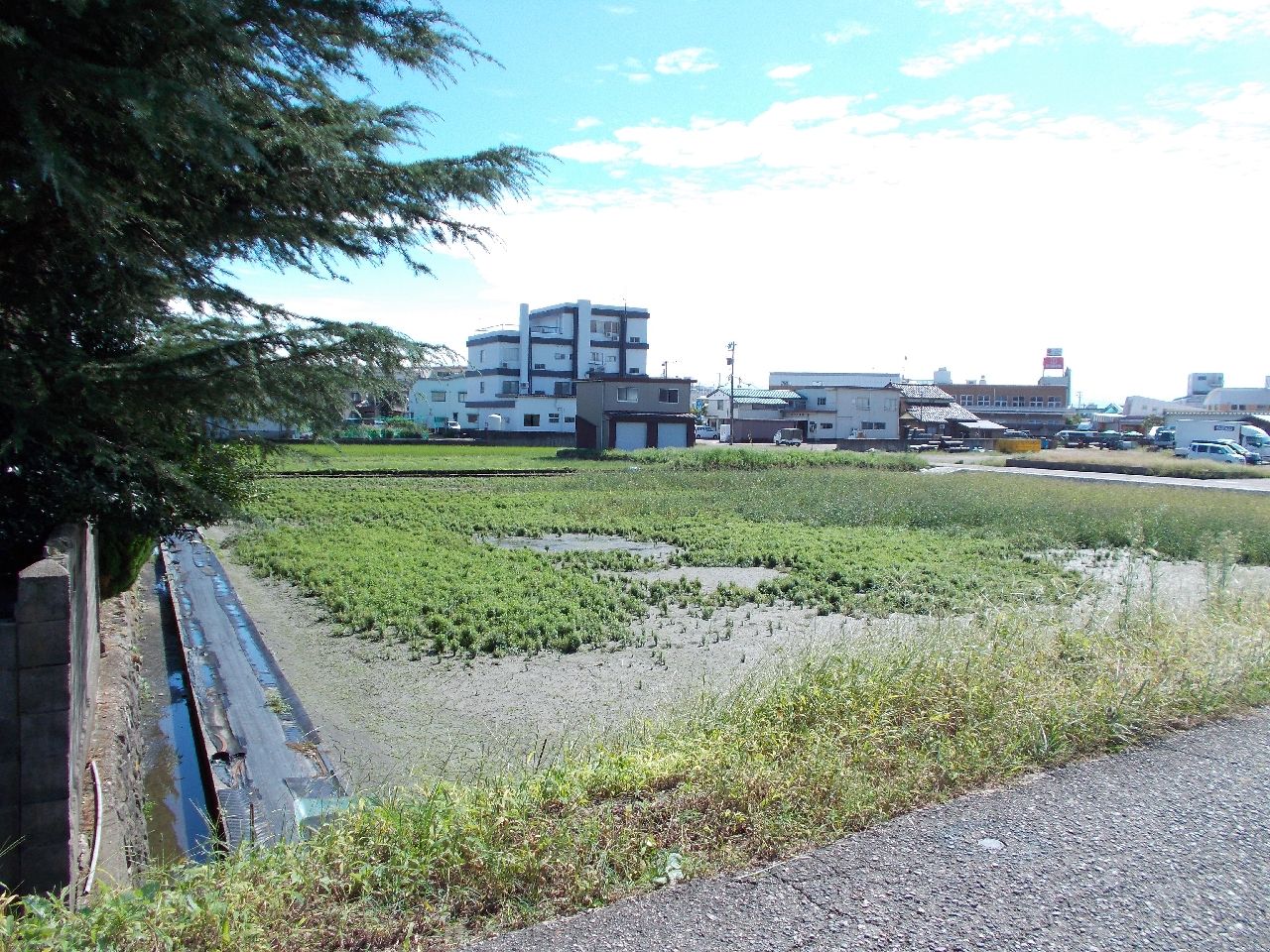 ゆるゆりの舞台 高岡市 に再訪しました カンチの ゆる い 探訪日誌 ゆるゆりの舞台 高岡市 に再訪しました カンチの ゆる い 探訪日誌