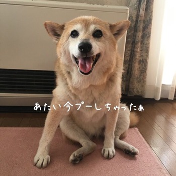 4B9EAE28-4EAB-473C-B91E-5B890AF2B4C6