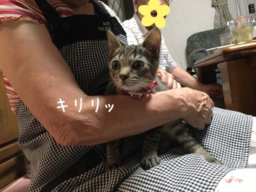 3E189334-B8D7-4980-8905-F735DB4DBA31