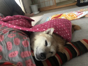 77F7254D-8FC9-4DE3-BFE1-E6B9AD63CD8A