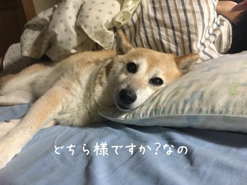 46A4DFEF-D88D-4765-9F6F-385C491FAC6F