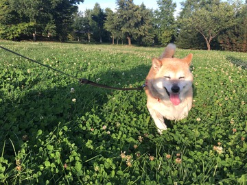 948A25BA-909F-4009-8FF5-1392019AF4D5