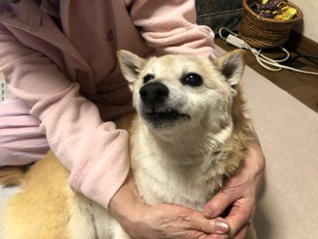 C721D7AF-5315-43B3-878C-6291393F7018