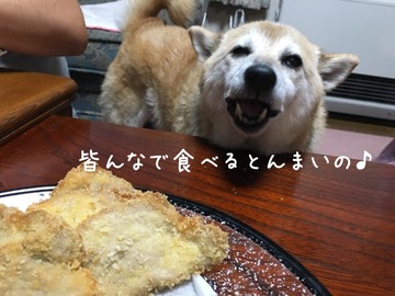 F27156CF-58F9-4035-B07E-30BEBEBA201E