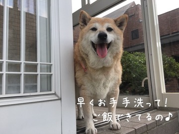 1A065CC3-5292-4C23-9029-9CA87722C700