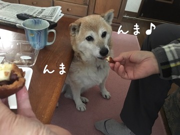 93DA47E4-218A-42E2-8B06-28B53FA6EC31