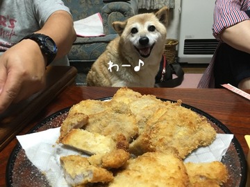 594FFD15-BD22-4502-8A3A-4A87B024B72B