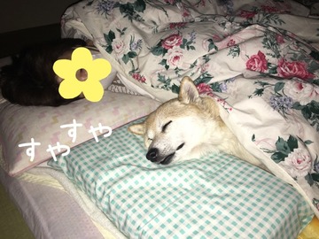 C1126CFC-64FE-4649-A8E4-6C3B630D81A9