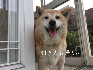 0BB18244-98C4-4B52-962D-764C6FE5CCED