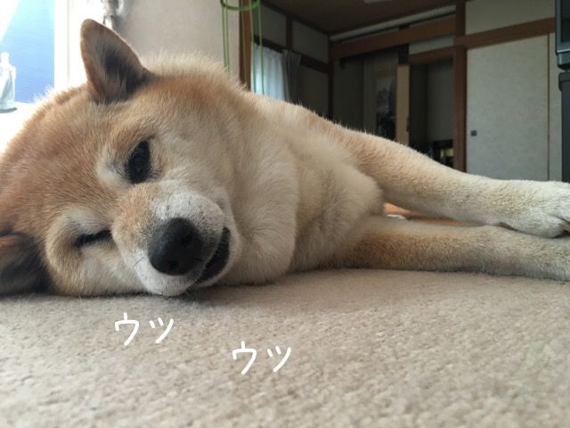 Biofriqdsgcupm Biofriqdsgcupm