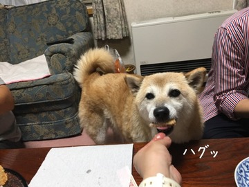 1DC9E197-FCC6-4D9E-8E0D-0FFA27A35E25