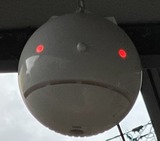 IMG_6376