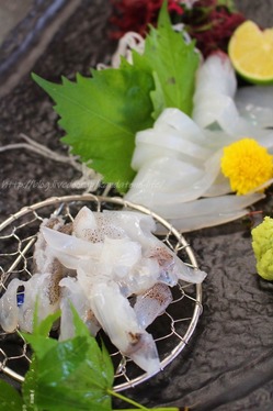 ι2018-09-13~16��ɲ��ͽ���ι (173)