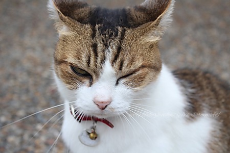 ι2018-09-13~16��ɲ��ͽ���ι (131)