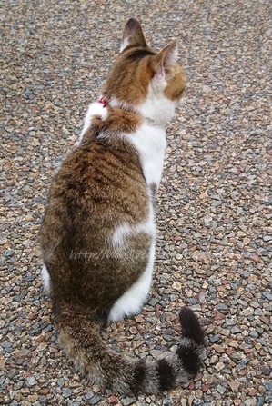 ι2018-09-13~16��ɲ��ͽ���ι (562)