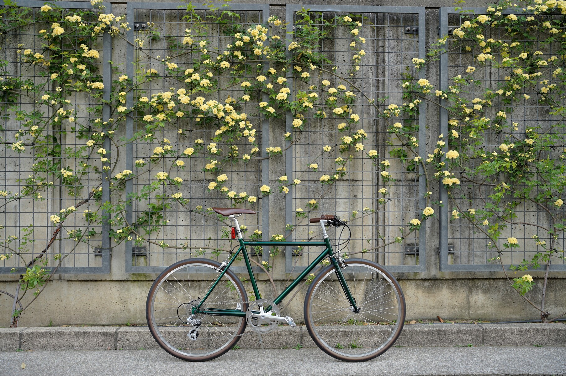 RITEWAY STYLES 日常使いには前かごカスタム : K&M CYCLE BLOG