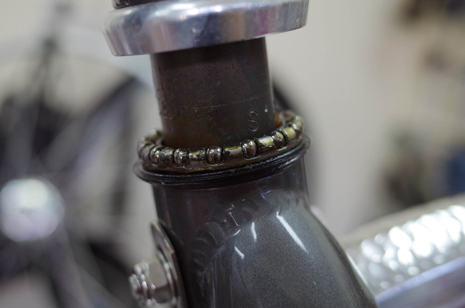 サビの有無でも印象は大きく変わる Bianchi Lepre オーバーホール