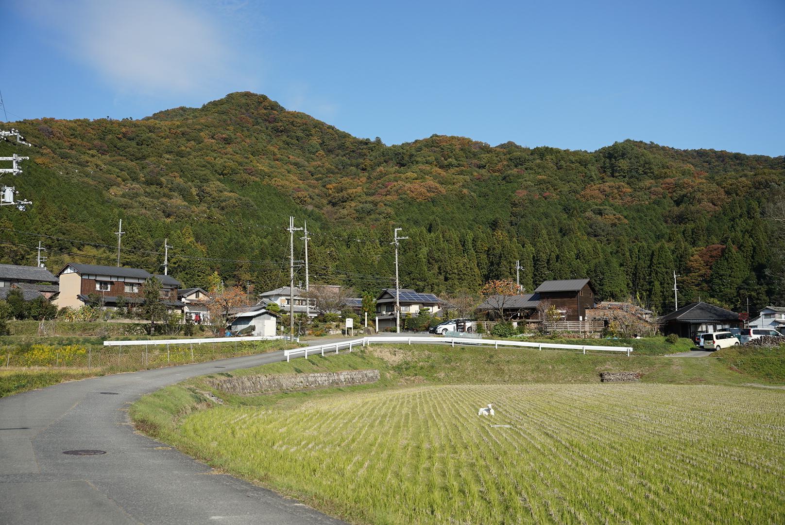 自転車乗りにおすすめのカフェ Vol 76 旅する雑貨屋itsumo 姫路 K M Cycle Blog