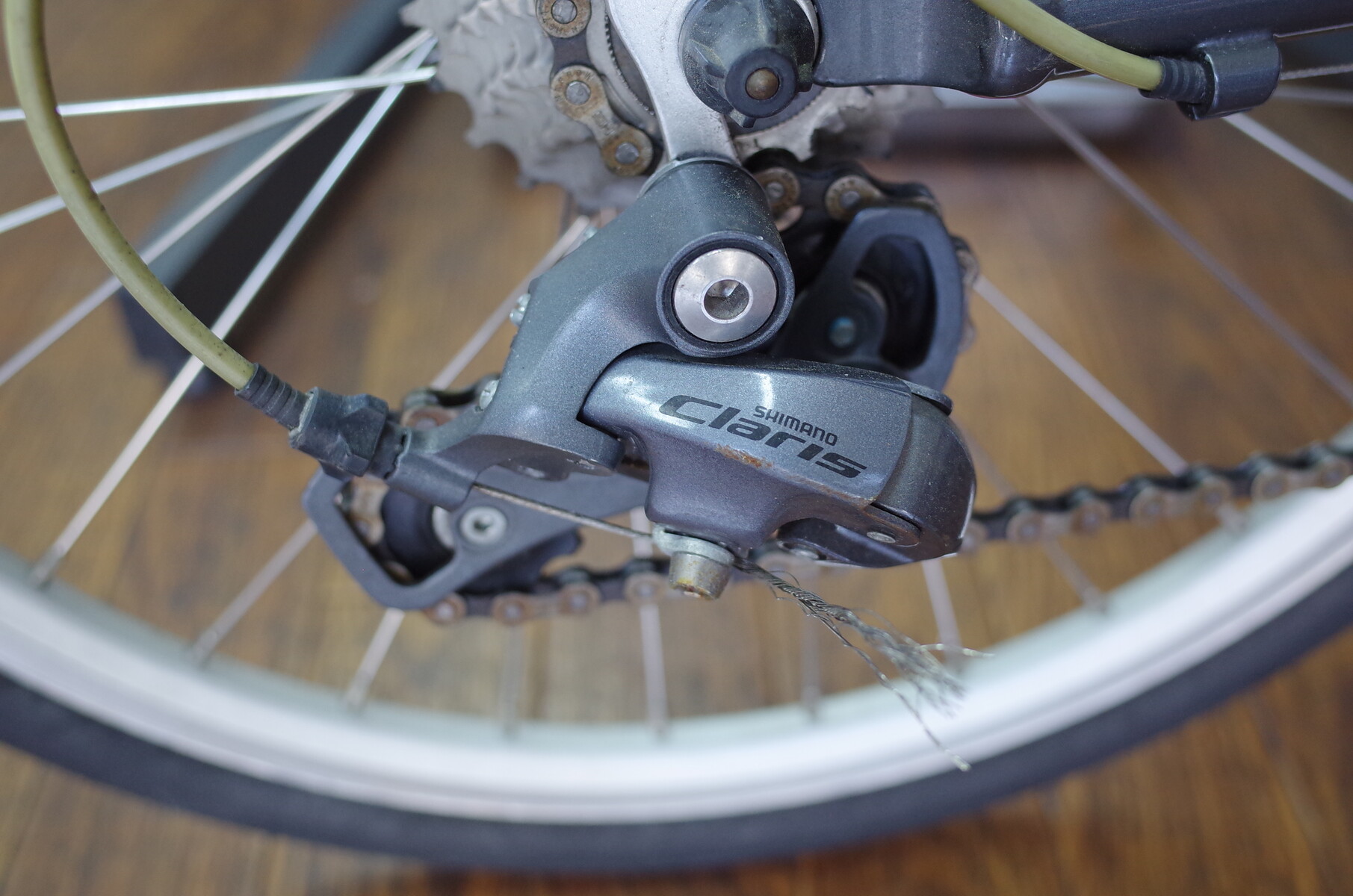 サビの有無でも印象は大きく変わる Bianchi Lepre オーバーホール
