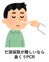 鼻腔PCR