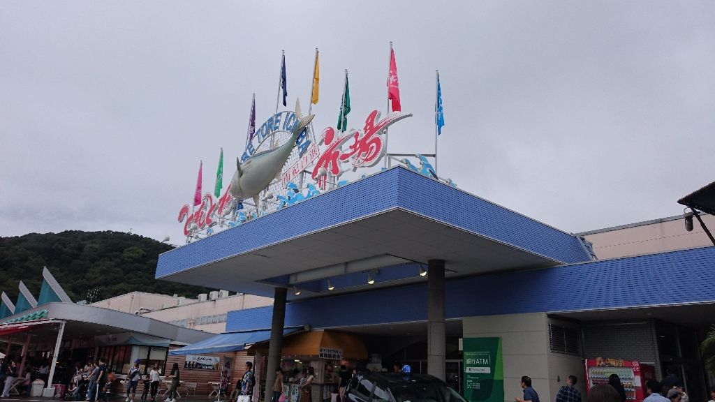 イメージ 3