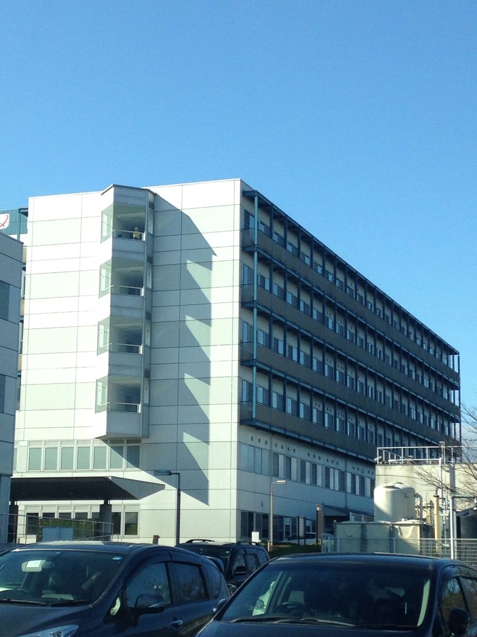 イメージ 2