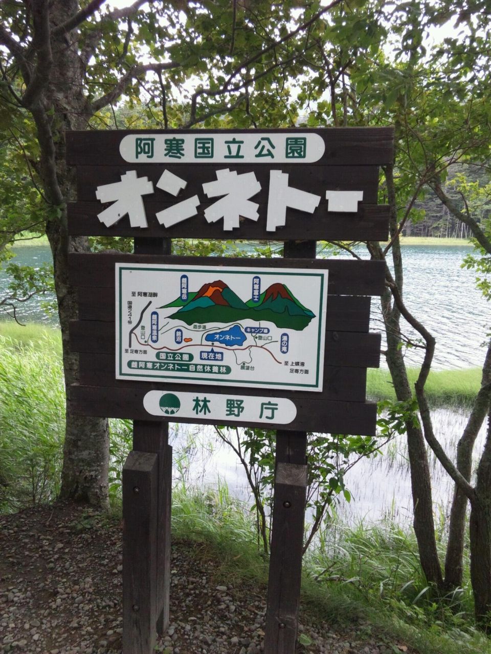 イメージ 1