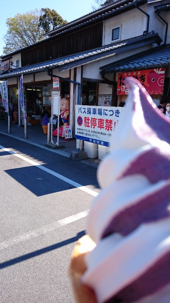 イメージ 9