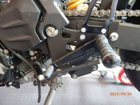 P9240046 (6)