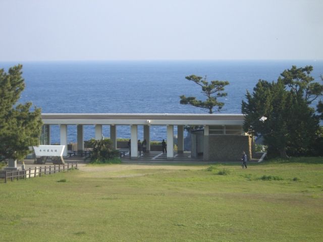イメージ 5