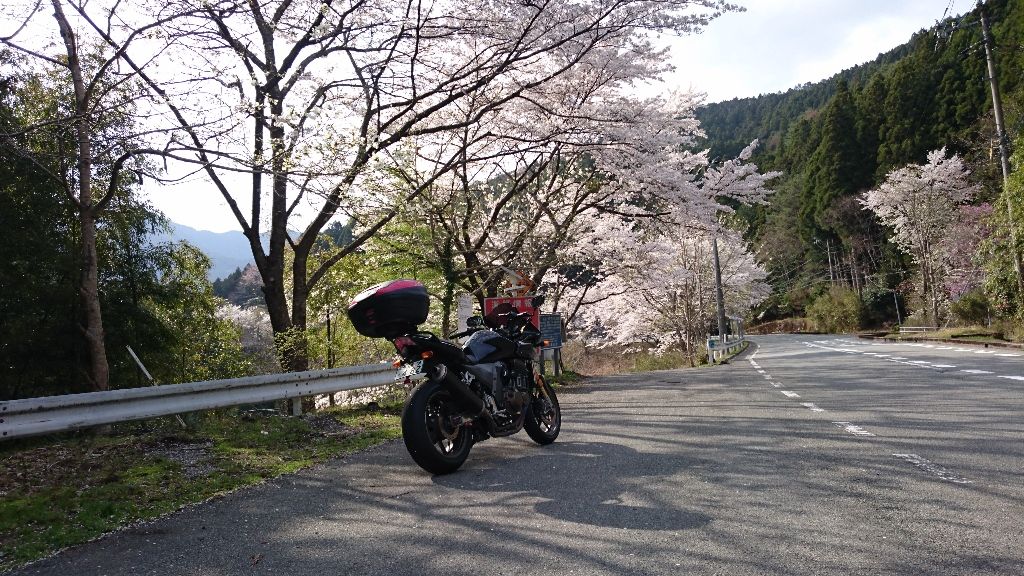 イメージ 2