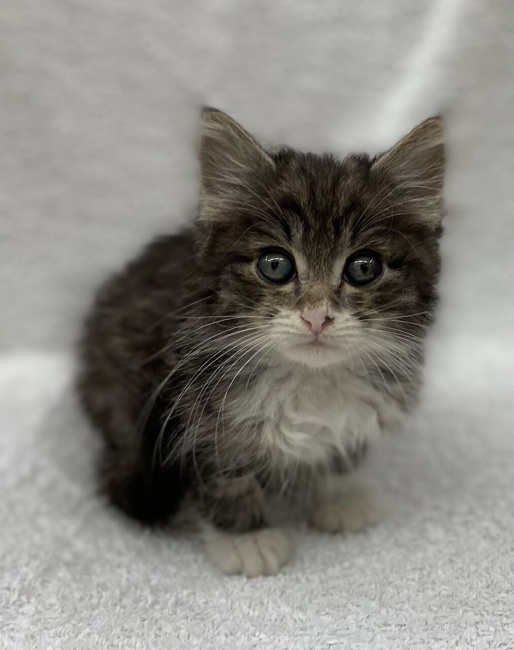 かねだい四街道店ブログ