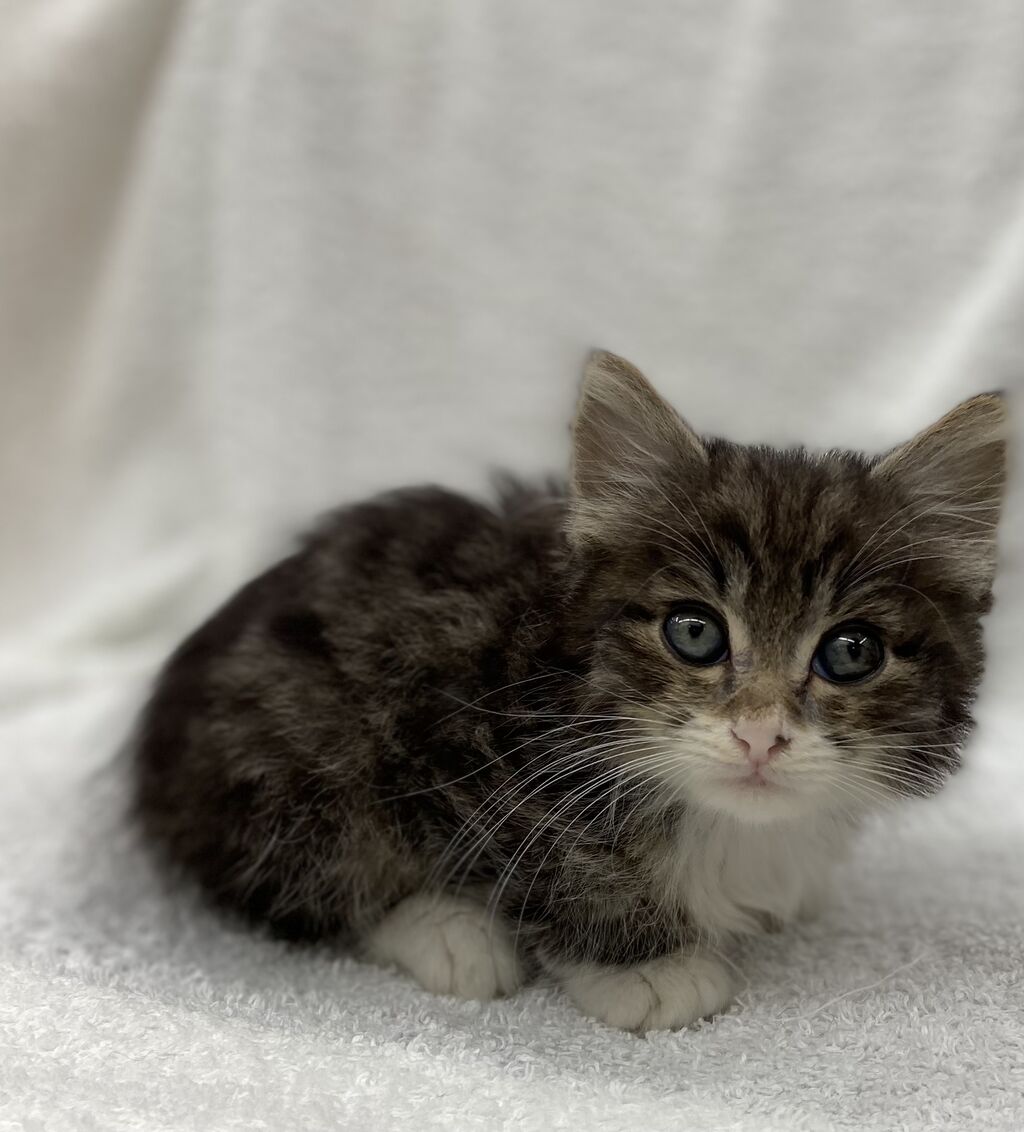 かねだい四街道店ブログ