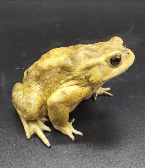 Polish_20231122_165140003