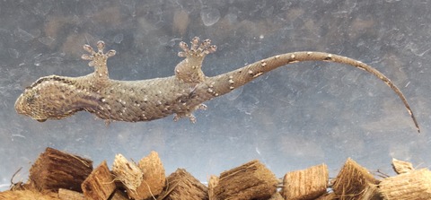 Polish_20231213_160254274